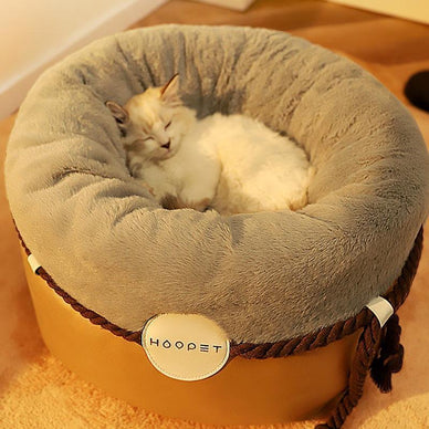 Transform your pet's comfort and happiness!